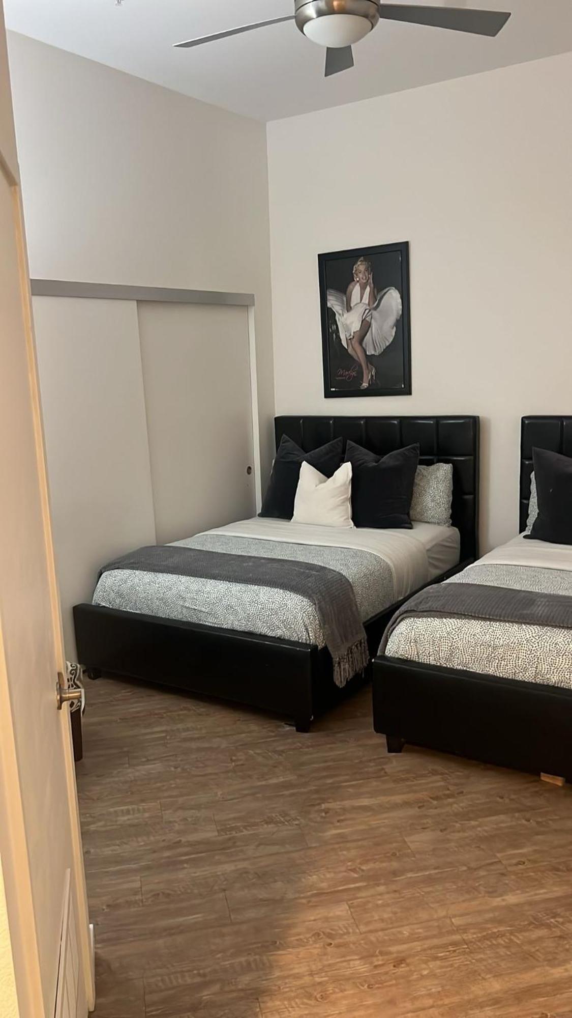 Apartment Exceptional Loft Free Parking And Wifi
