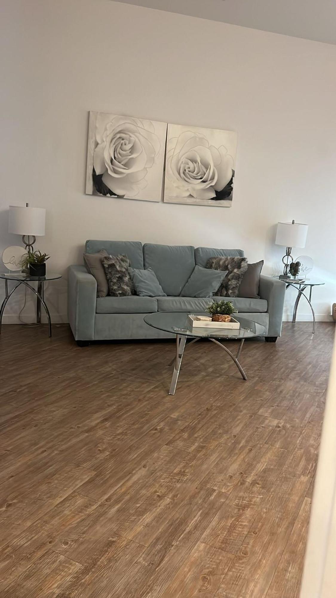 Apartment Exceptional Loft Free Parking And Wifi